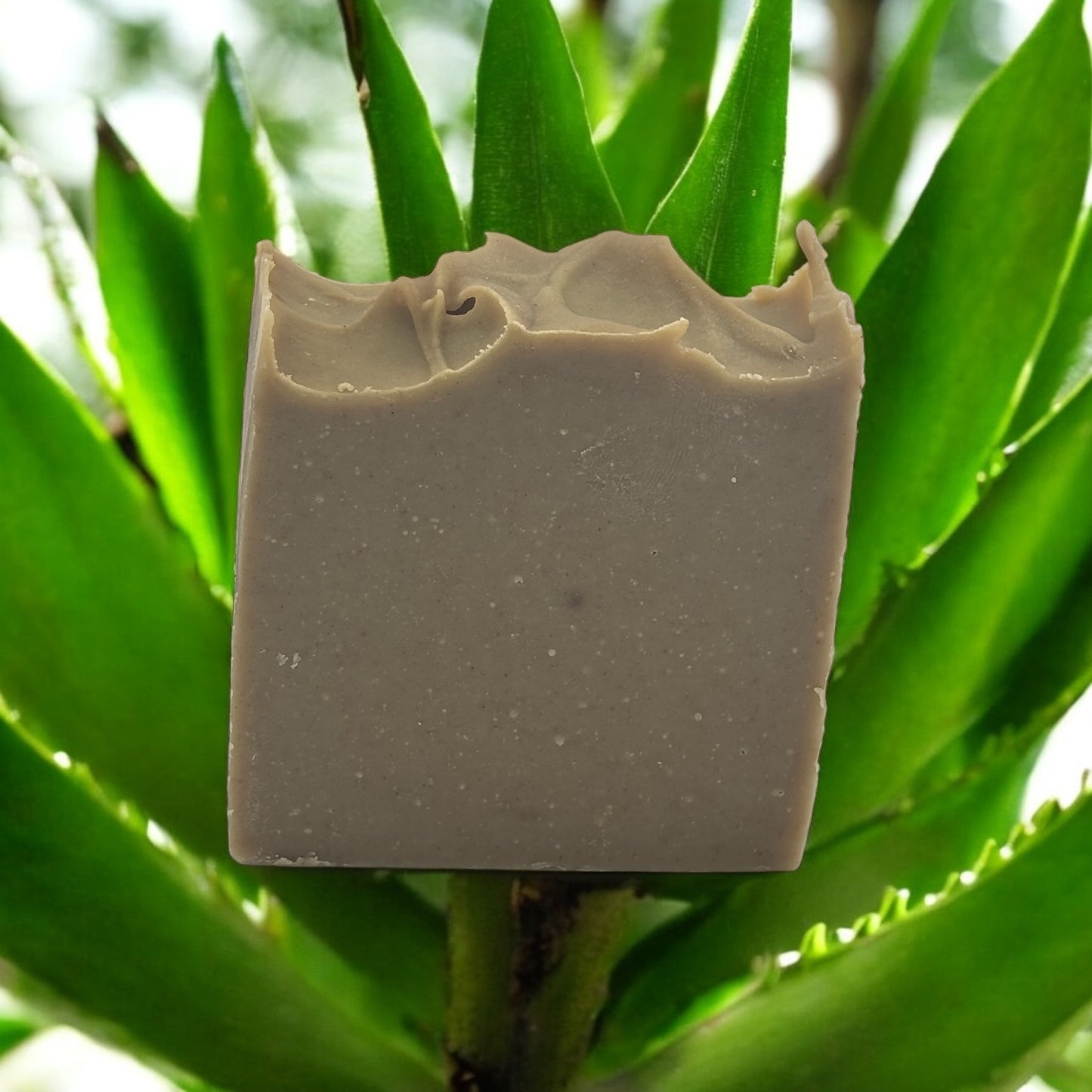 Jabón de Aloe Vera